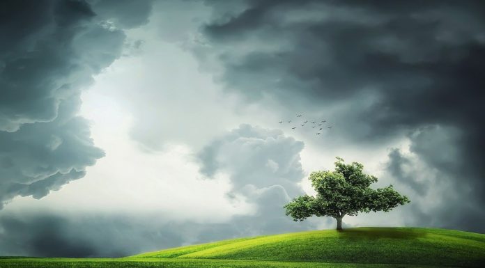 Apps para el clima: estar preparados para salir de casa