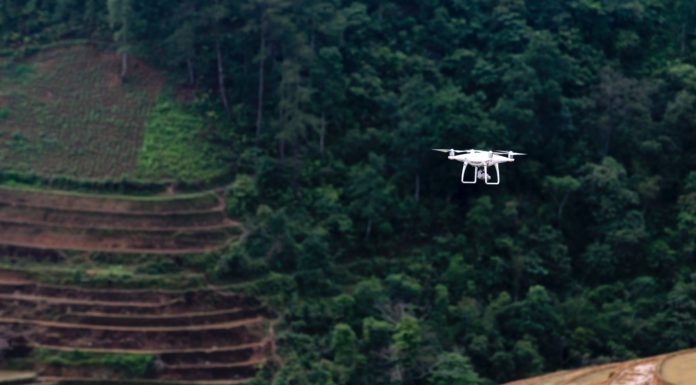 Siembra de arroz: Drones que facilitan esta labor